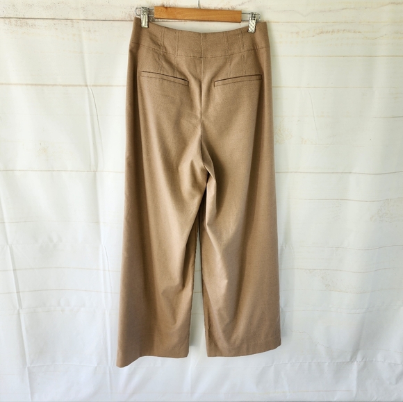 Banana Republic Pleated Wide Leg Tan Pants - Picture 8 of 10